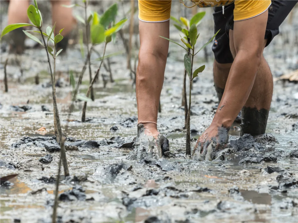 Is a volunteer vacation for you?